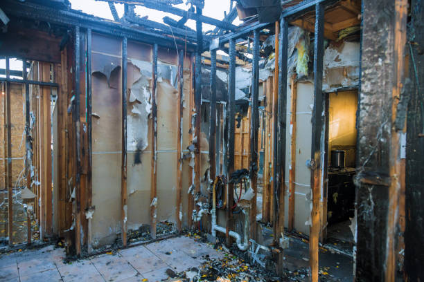 Professional Soot Cleanup technician working in Petersburg, IL